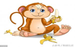 1992年属猴的姻缘配什么生肖好