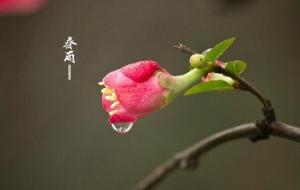 面相学绝命口诀,生活天机泄露记