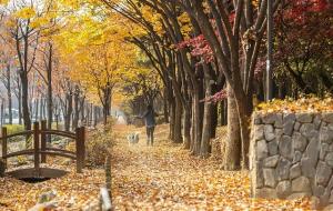 邵伟华《四柱预测学》:生活是一个心