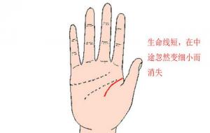 生命线很短的人寿命真的不长吗