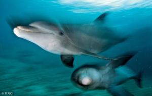 大海水命是哪一年出生的(如何起名)