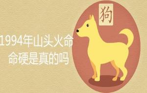 1994山头火命是什么意思