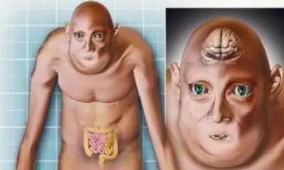 9000000亿年后的人类