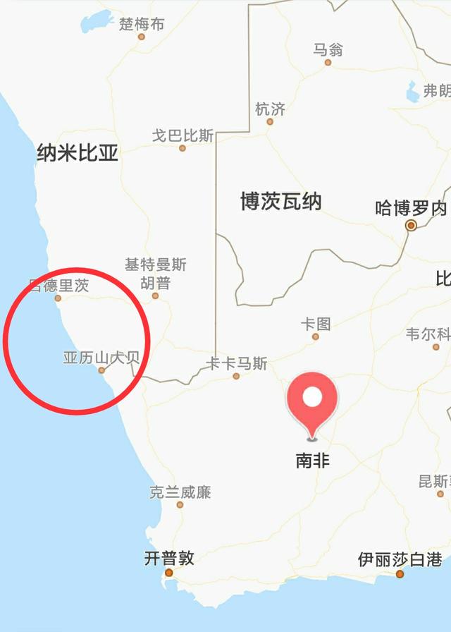 沙漠雨蛙可以养吗(为什么禁)