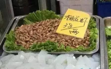 桃花虾为什么这么贵
