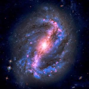 北极星在哪个星座(小熊星座)