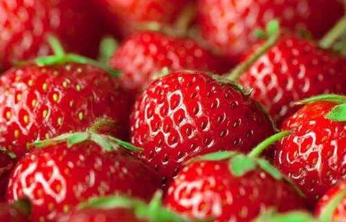 草莓是热性还是凉性