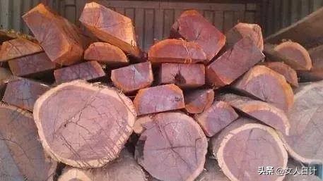 “非洲酸枝”与“南美酸枝”哪个好