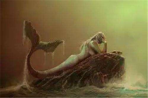 美人鱼从哪里拉粑粑