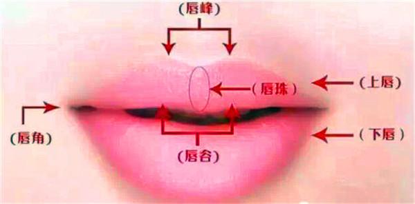 唇珠上有痣代表什么（唇珠的样子）