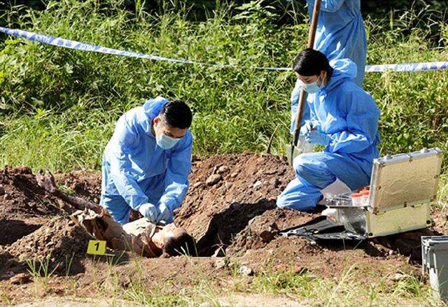 尸蜡化和巨人观哪个臭及恐怖