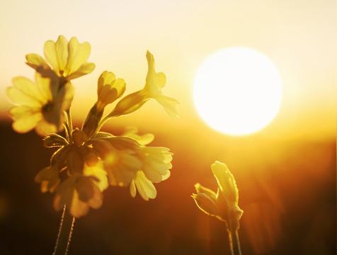 如何看一个人阳寿已尽