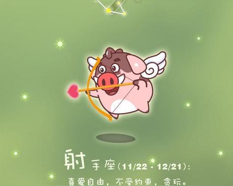 属什么的射手座命最好