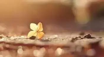 张仪和苏秦谁更厉害