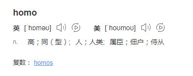 homo无处不在什么梗