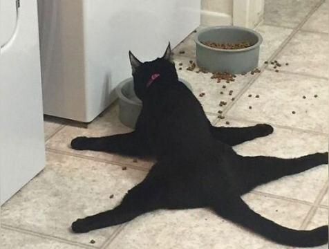 家里有鬼的十种征兆?