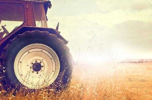 宿命感什么意思（宿命的真正含义）