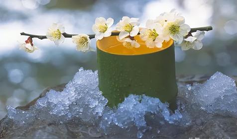 穷命怎么化解(穷命如何破解)