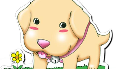 属狗的一生婚姻与命运怎么样