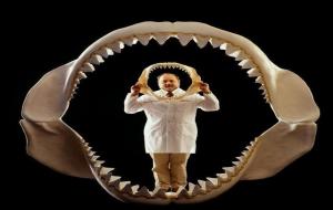 10个诡异的化石(奇异的10块生物化石)