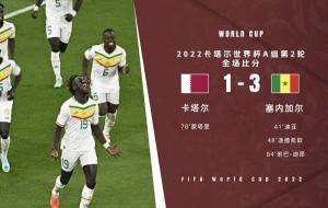 卡塔尔世界杯:血亏、无奈、伤心,但富有