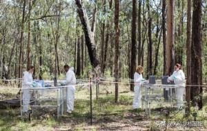 尸体农场:1800具尸体死后依旧在此工作