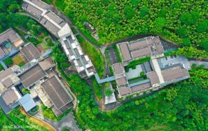 丫山风景区在哪里（丫山简介）