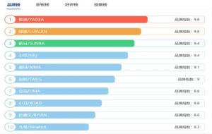 电动车排名前十名是哪些品牌