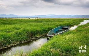 活着的意义经典名句10句,很火的那段话