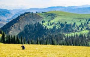 不负韶华诗词(10首青春诗词)