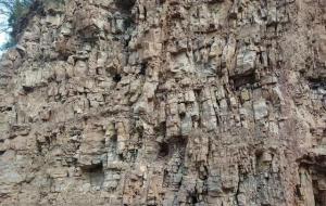 风化石是什么石头(龟纹石)