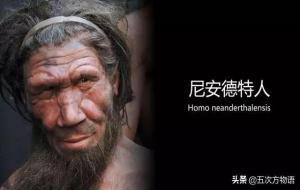 尼安德特人和智人有生殖隔离吗(人类是孤独的物种)