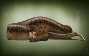 泰坦巨蟒真的存在吗（灭绝了吗）