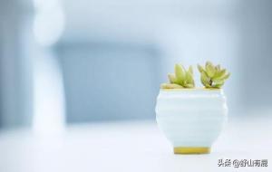 天生富贵命的人,让你平安的,是这些福