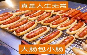 人生无常大肠包小肠是什么意思 是什么梗