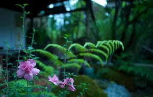 “金无足赤,人无完人”的哲学道理