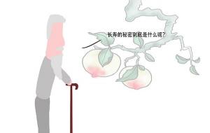 人的上限寿命是3000岁吗(理论上的寿命值)