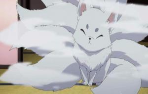 涂山和青丘的区别(狐狸区别)