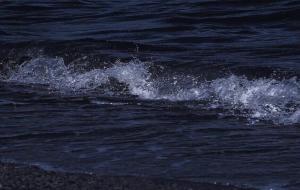 佛系网名简单气质干净