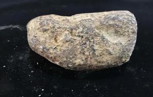 龙涎香一克多少钱(海边捡龙涎香)