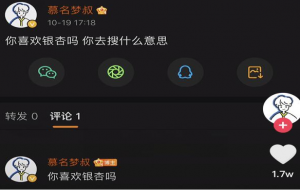 你喜欢银杏吗什么意思 什么梗