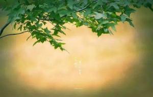 修道心是什么意思（修道就是修心）