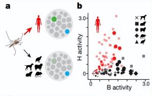 蚊子是靠什么找到人的(揭秘)