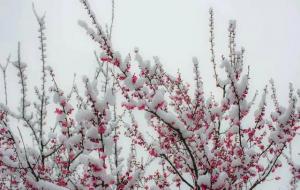 风一更，雪一更的更什么意思