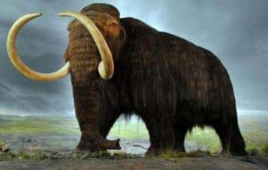 猛犸象灭绝了吗（什么时候灭绝的）
