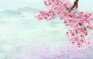 人面桃花是什么意思