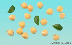 鹰嘴豆是什么豆（鹰嘴豆怎么吃 健康吗）