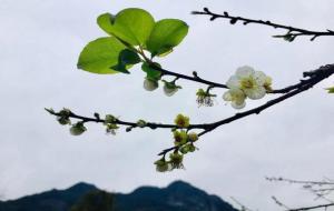 三招学渣变学霸