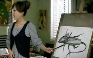 蟑螂鼠真的存在吗(爱情公寓第几集)