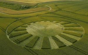 麦田怪圈是自然现象吗(麦田怪圈之谜已被破解)